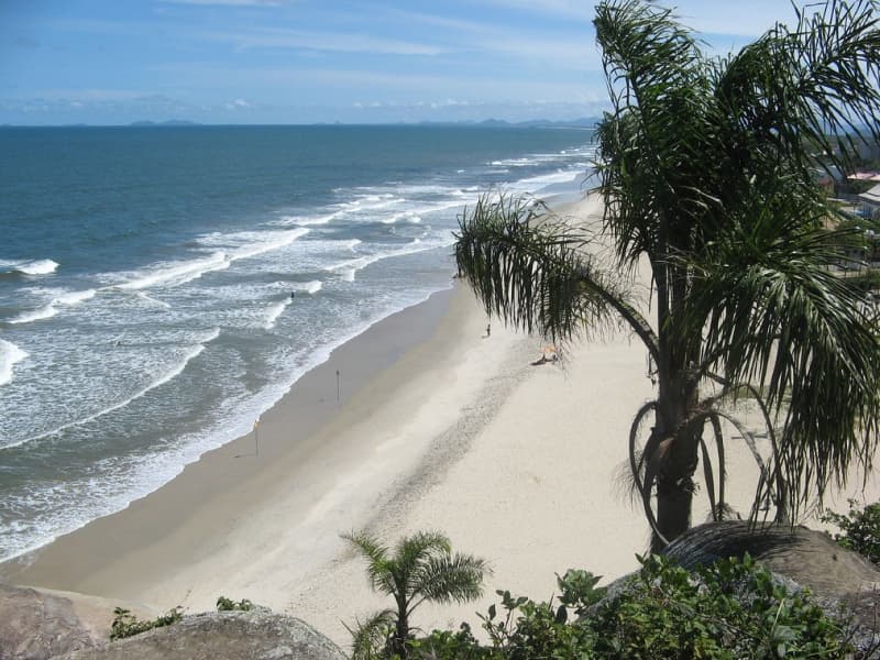 Praia Brava de Guaratuba com ondas quebrando em mar aberto e palmeiras na orla