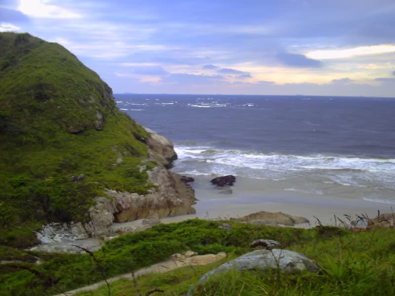 Costão rochoso com vegetação costeira na Ilha do Mel