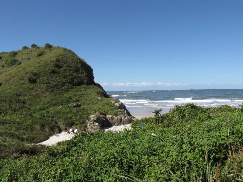 Costão rochoso com vegetação de restinga e mar aberto na Praia de Fora