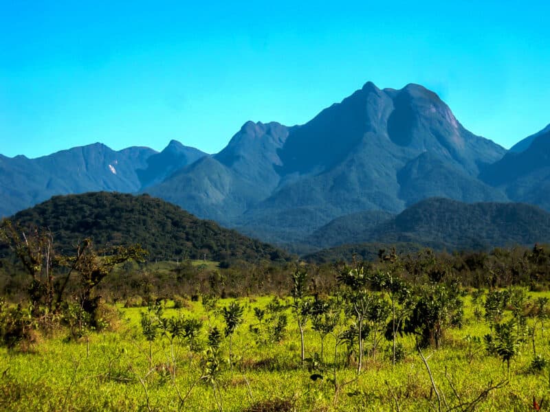 Reserva Guaricica
