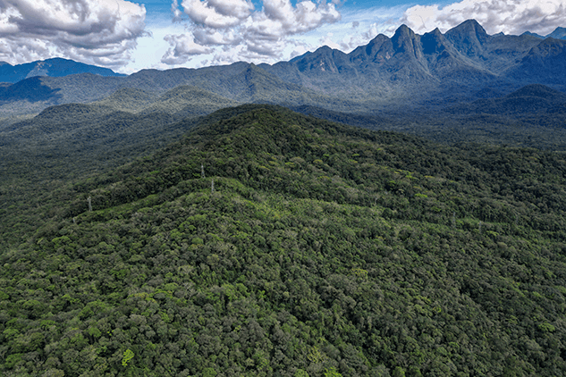 Mata Atlântica