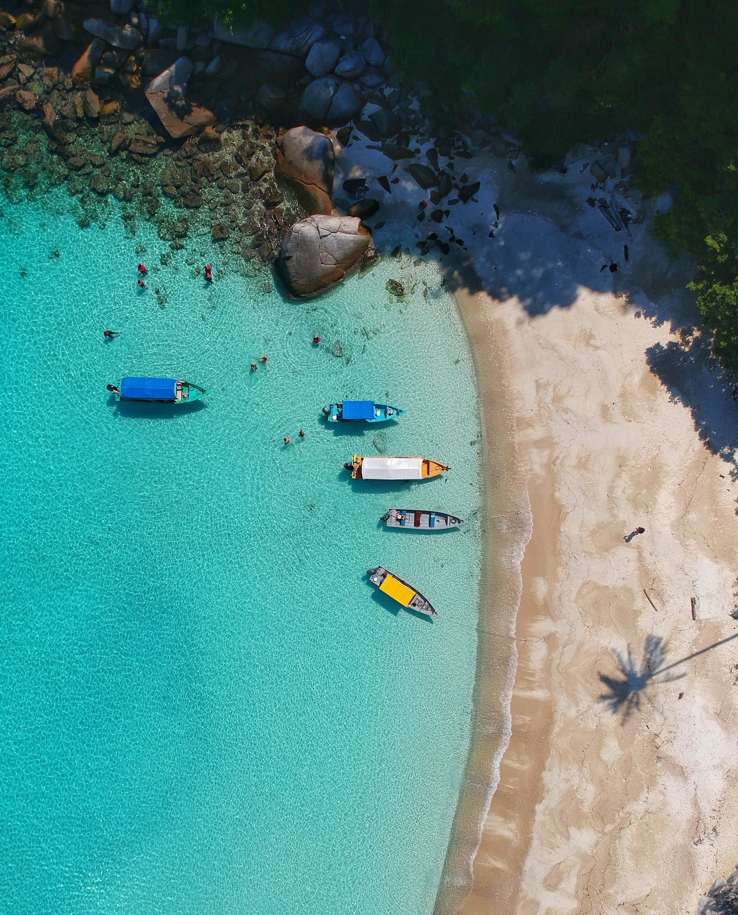 Uncovering the Hidden Beauty of Paraná Shores